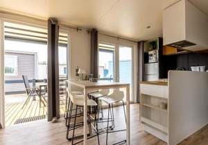 Muschel 50 in Scharbeutz