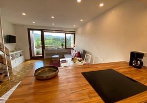 Vacation apartment Schwarzwaldblick in Lenzkirch (incl. HSC) in Lenzkirch