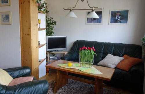 Rauenstein Apartment | Ferienwohnung Panorama