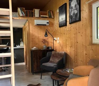Lorcy Other | Tiny de Paula
