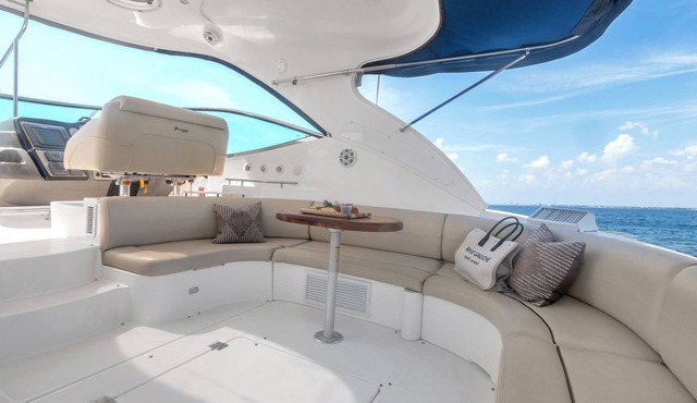 52' Cruisers Express Yacht in the heart of downtown Tampa! in Tampa
