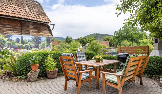 Apartment "Burgblick" with Mountain View, Shared Terrace & Wi-Fi in Plaue