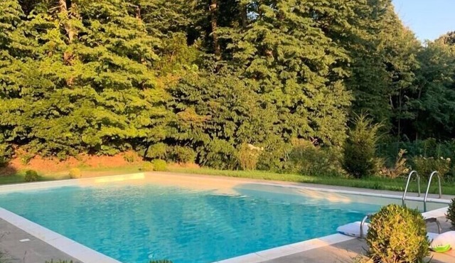 Apartment in a castle, park and pool included. in Roccalvecce