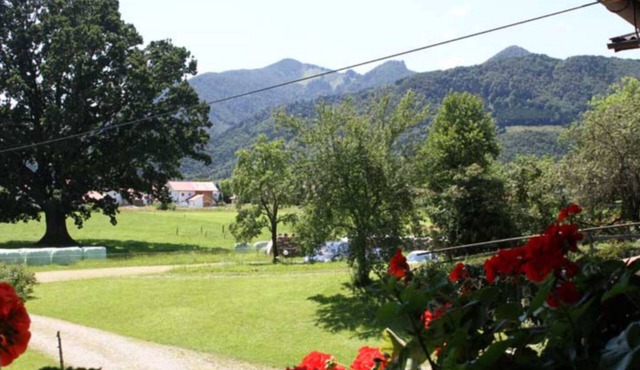 Appartement Rosmarin 28 qm 1-2 Pers., Kochnische, Balkon in Grassau