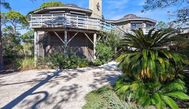 BIRD WATCHER IS PARADISE FOR A NATURE LOVER! in St. George Island
