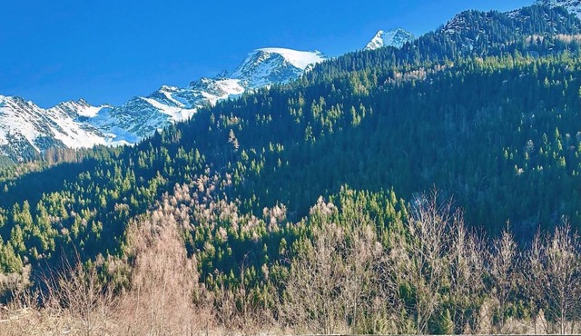 Cocon face au Miage - Calme et grand air in Les Contamines-Montjoie