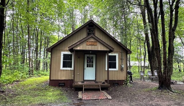 Cozy cabin away from Hustle and Bustle - Woodsy, Peaceful, Tranquil! in Redfield