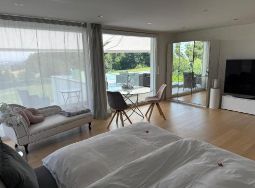 Deluxe Doppelzimmer mit Pool und Aussicht in Dänikon