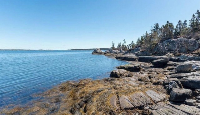 Eastern Shore: 9 Acres of woods & Private Oceanfront - Hot Tub Option in Lake Charlotte