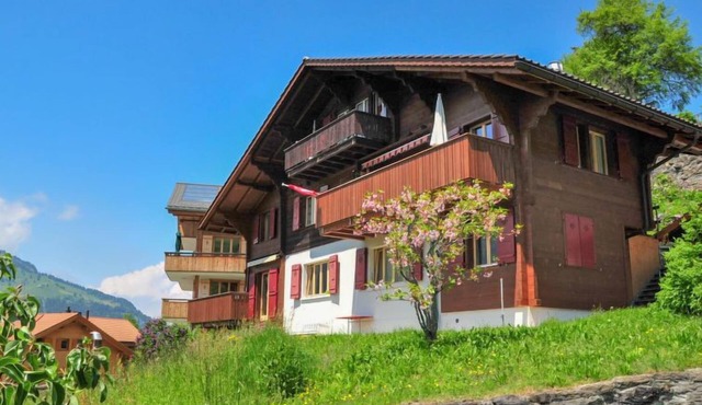Eigersonne by Interhome in Wengen