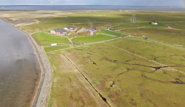 Experience relaxing days in our cozy apartment on Langeneß Hallig in Langeneß