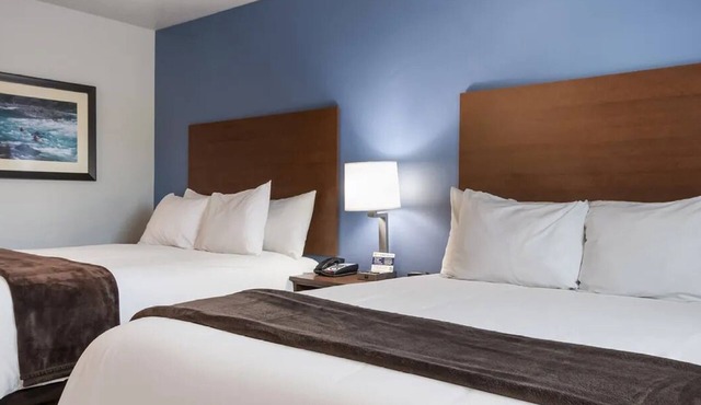 Explore Shakopee: Room with Full Kitchen Near Landscape Arboretum in Shakopee