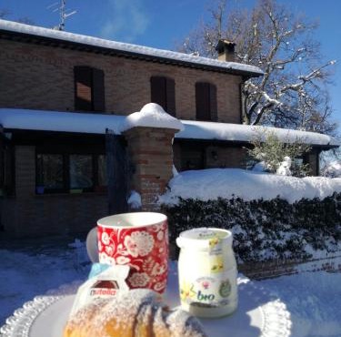 Il Castagneto in Camerino
