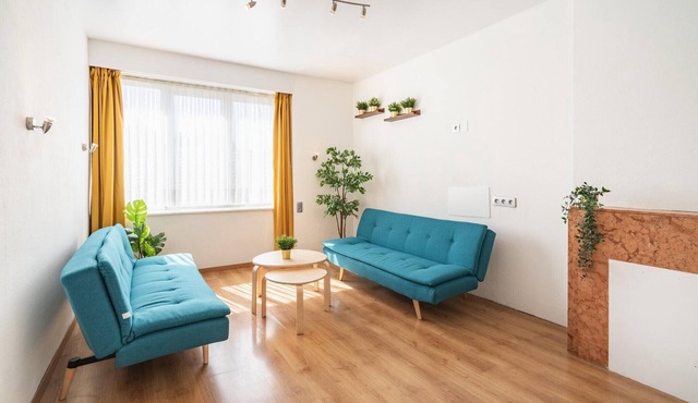 Large Antwerp City Center Apartments|2BBK|NS| in Antwerp