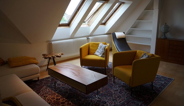 Large attic apartment near the Danube wetlands in Orth an der Donau