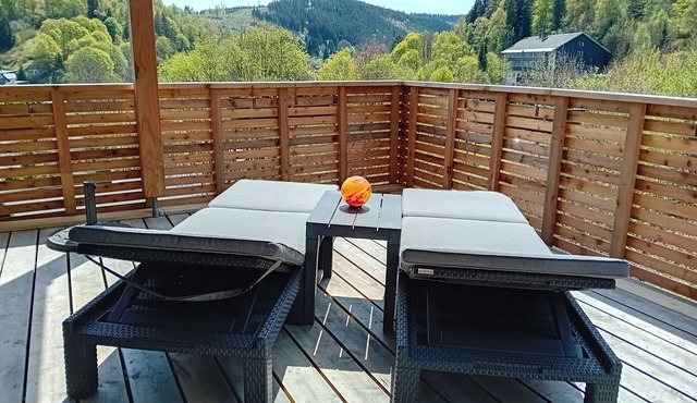 Panorama apartment in the glass town of Lauscha with terrace, beautiful nature & mountain views in Lauscha