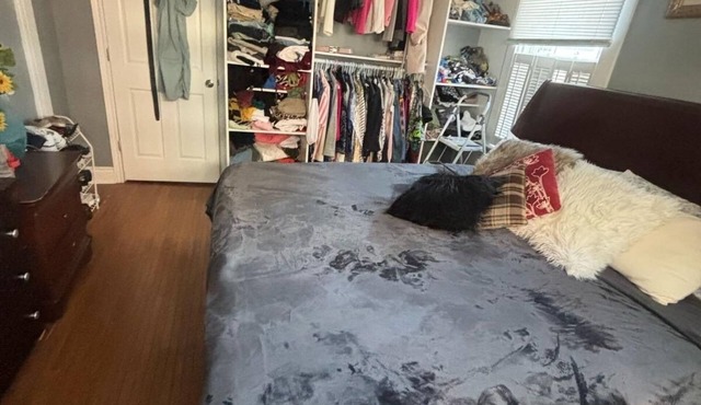 Private, furnished 1bedroom in prime Downtown Woodbridge, separate entrance. in Vaughan