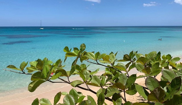 PROMO Beachfront sunsets with Starlink WIFI in Las Terrenas
