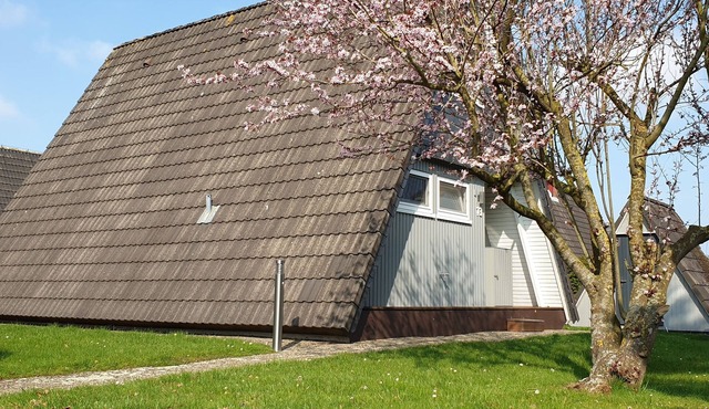 Roof-only house "Murmel 1", Wallbox f. E-cars, fireplace, beach chair, WLAN in Wittmund