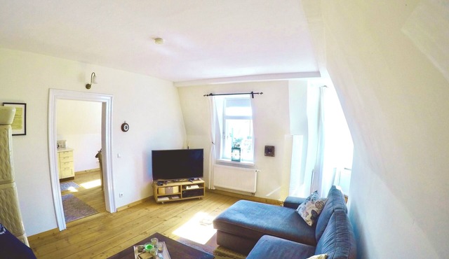 Stylishly renovated old apartment in a listed city villa near the Elbe cycle path in Dresden