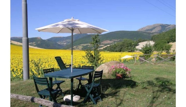 Sunflowers - Green apartment first P in Camerino