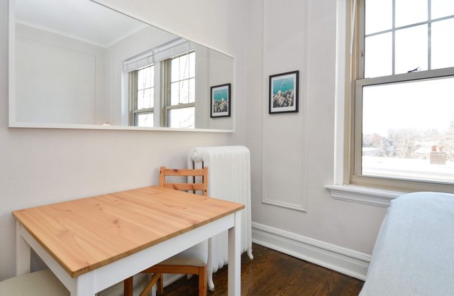 Vintage Hyde Park Studio No. 3 in Chicago