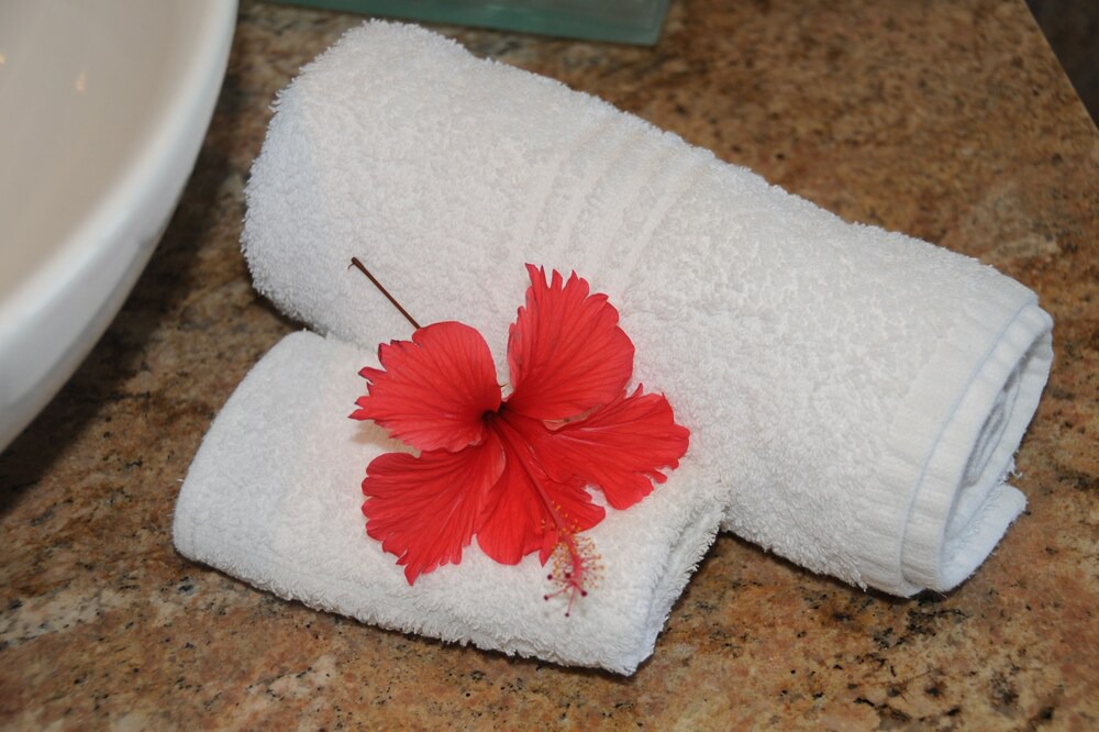 Photo of Bathroom in Eden Island