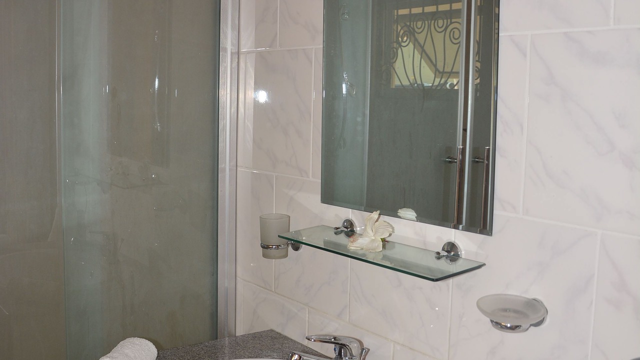 Photo of Bathroom in Anse la Blague