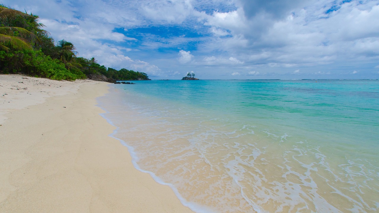 Photo of Others in Anse Royale