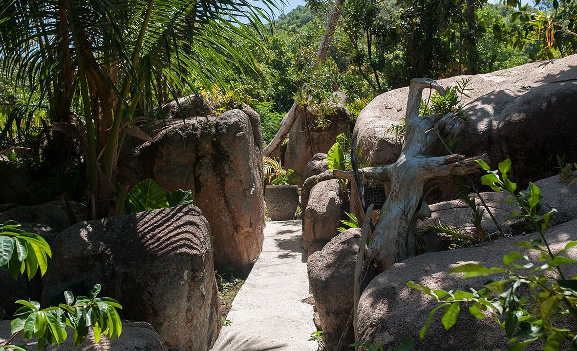 Photo of Outdoor in Grand'Anse Praslin