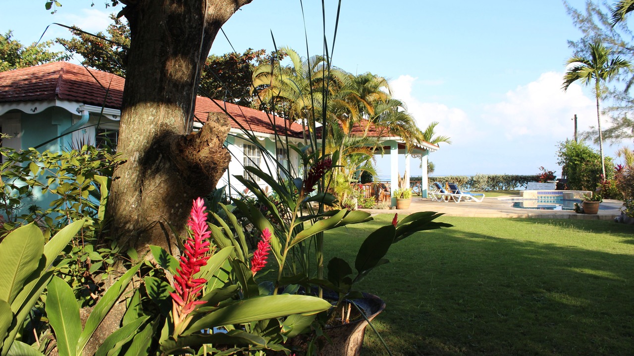 Photo of Outdoor in Runaway Bay