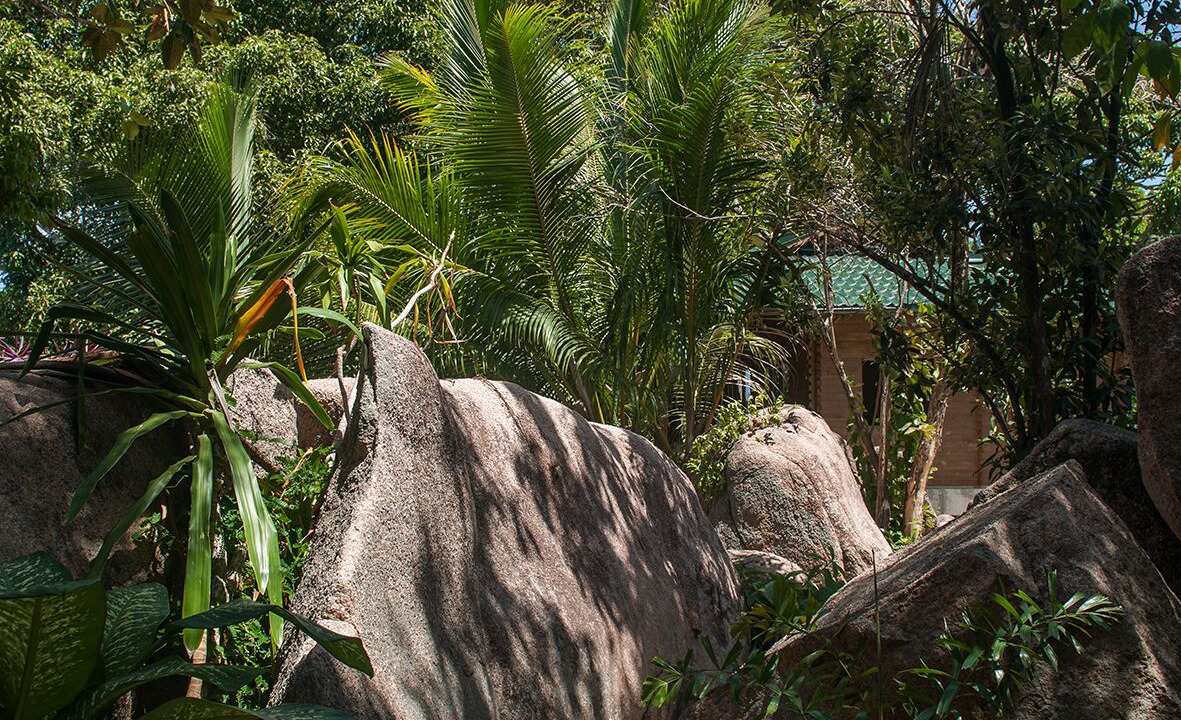 Photo of Outdoor in Grand'Anse Praslin