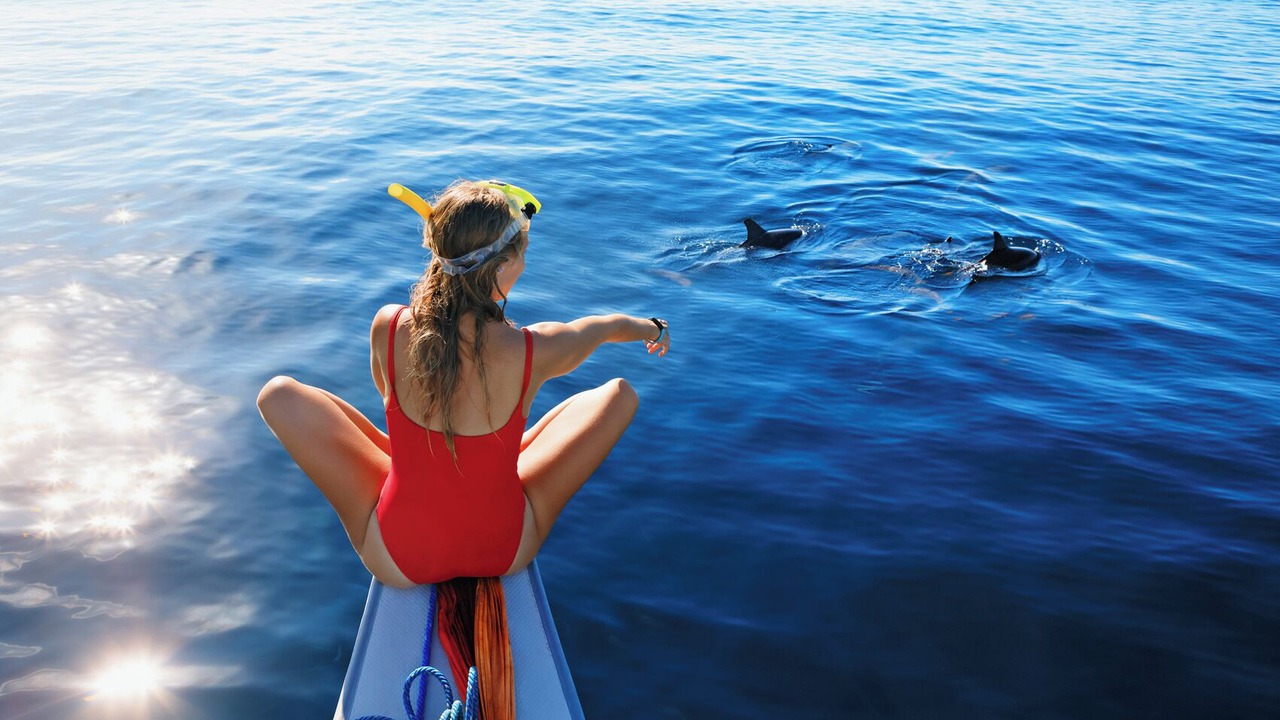 Photo of Others in Mahe Island