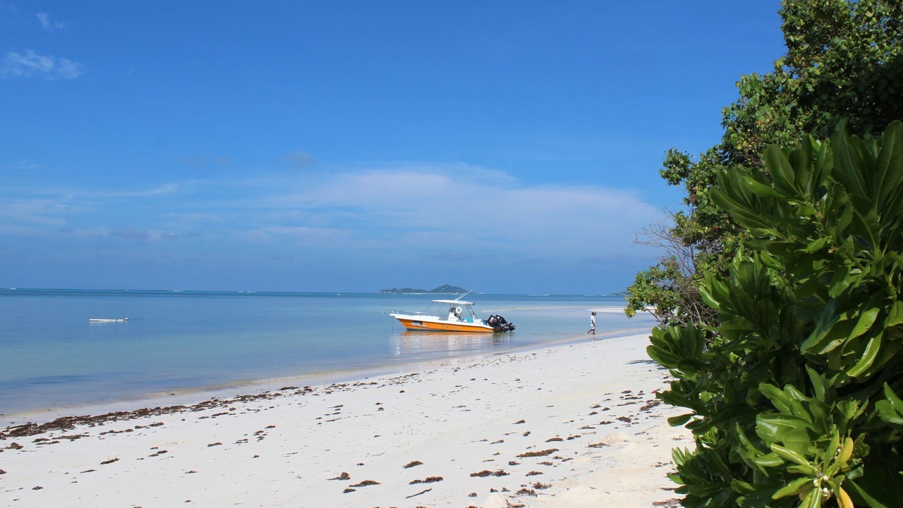Photo of Others in Grand Anse