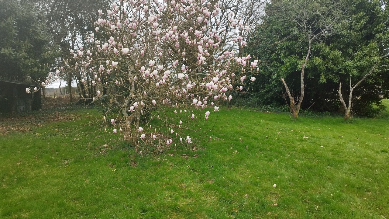 Photo of Outdoor in Camors
