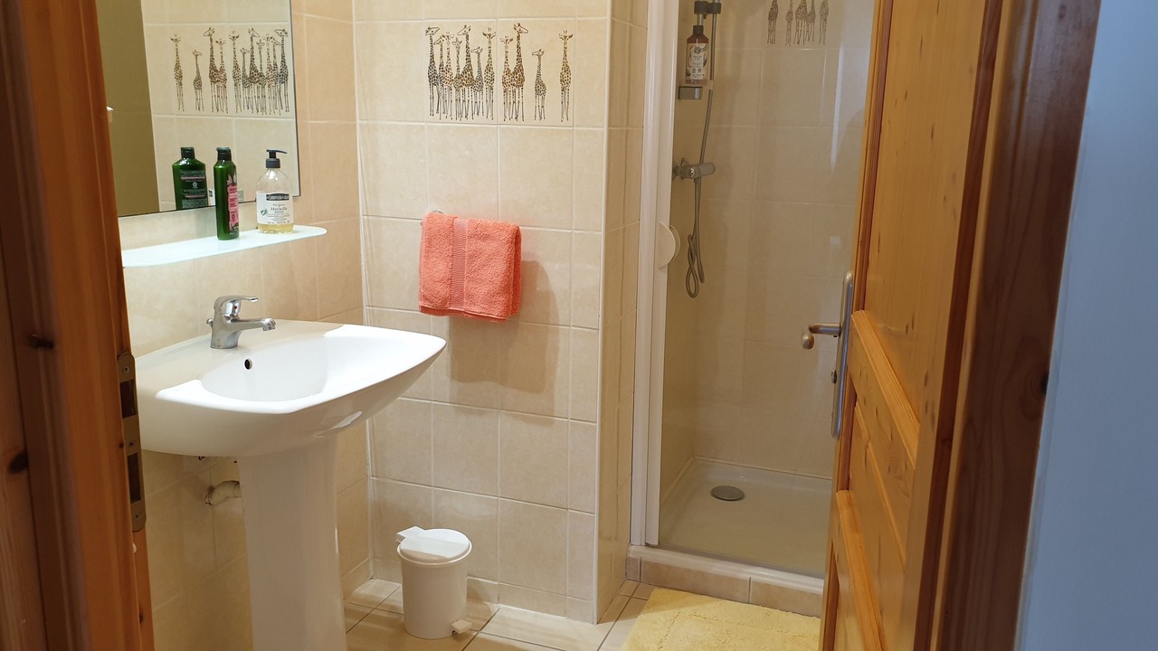 Photo of Bathroom in Saint-Segal