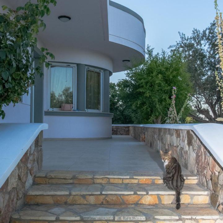 Photo of Others in Kolymbia