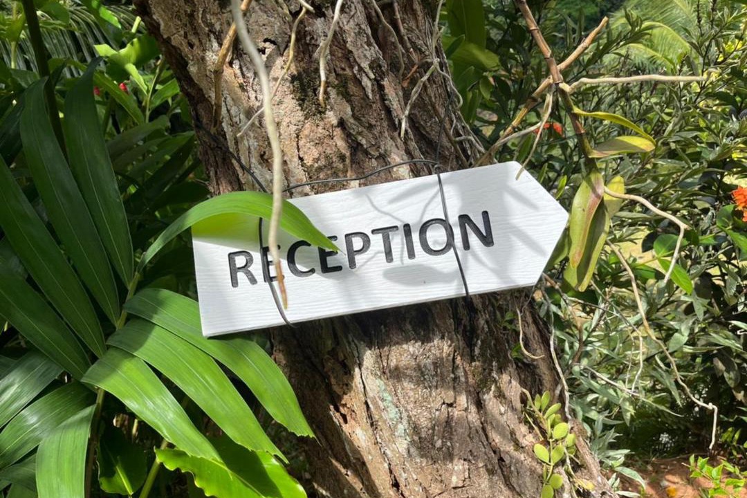 Photo of Others in Anse La Mouche