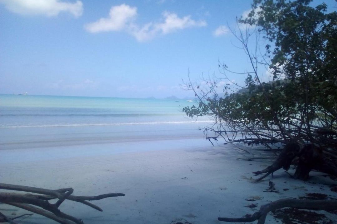 Photo of Others in Anse La Mouche