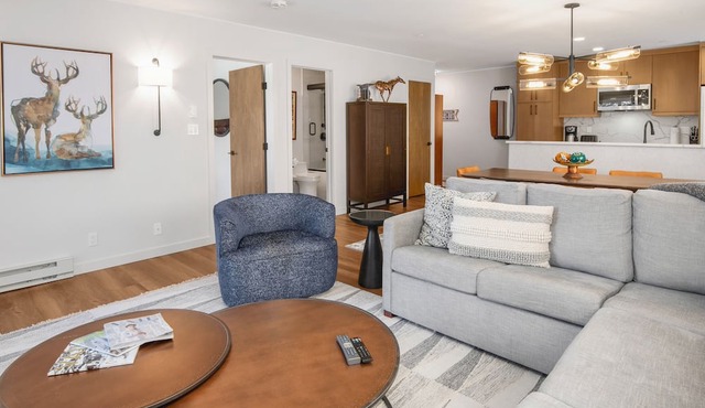Ski-In and Out in Beaver Creek Village Condo w/Balcony, Hot Tub, Free Shuttle in Beaver Creek